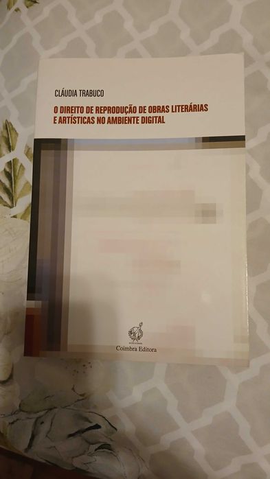 Dt de Reprodução de Obras Literárias e Artísticas no Ambiente Digital
