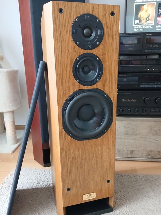 T+A criterion TMR60, linia transmisyjna