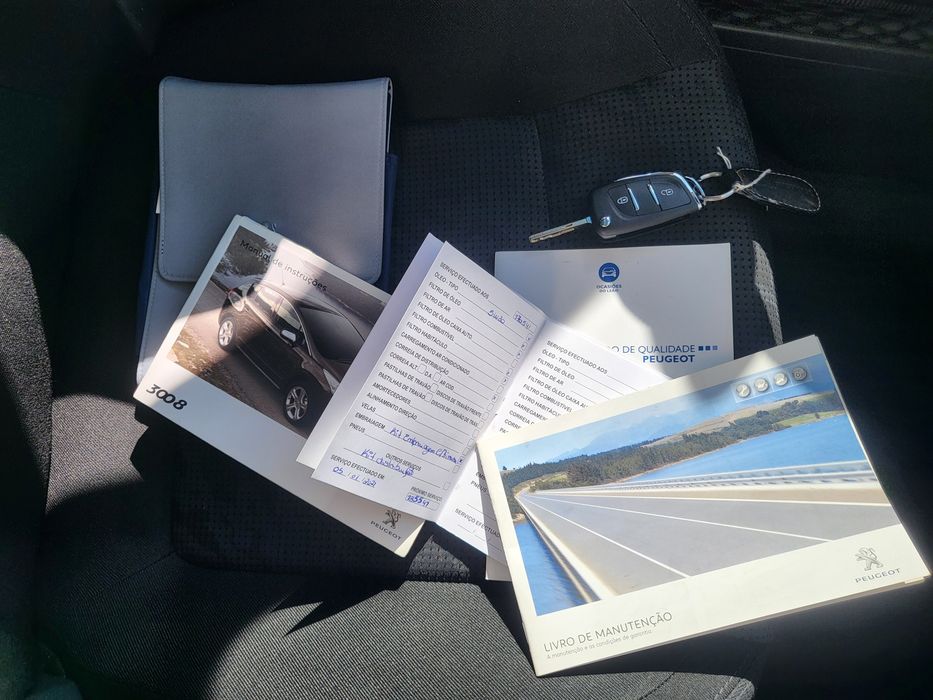 Peugeot 3008 panorâmico
