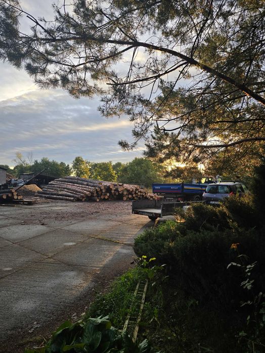 TARTAK  Tarcica Więźba dachowa Deski Łaty Trociny Grobla Małopolska