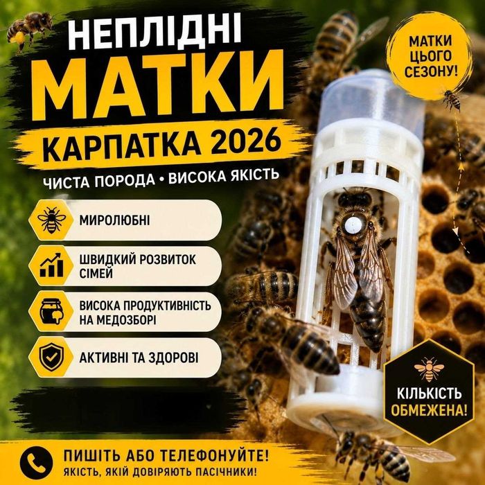 Продам неплодні і плодні бджоломаткі Карпатка