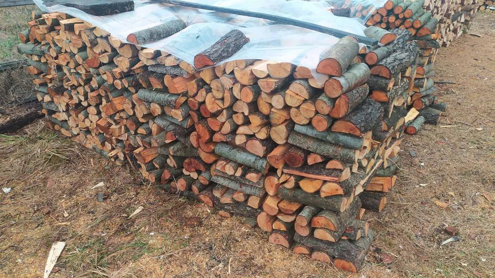 Купить дрова різних порід з доставкою