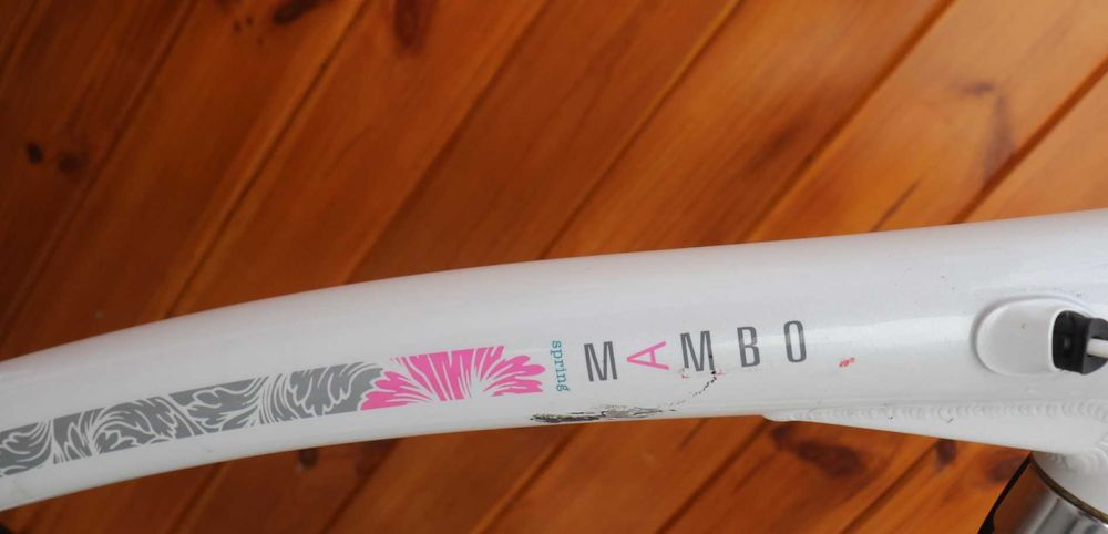 Rower damski Batavus Mambo D 61 RATY I inne rowery