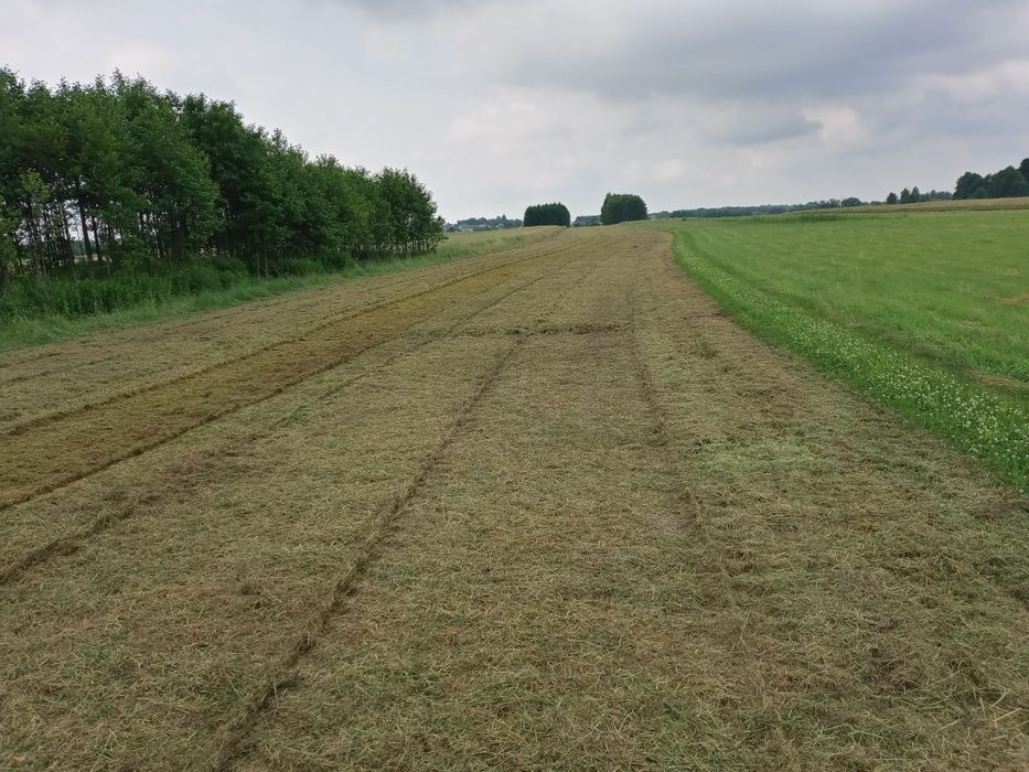 Usługi kosiarką  bijakową