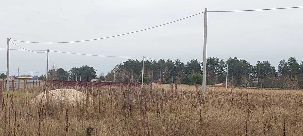Біля лісу, Старі Петрівці, 11.5 соток для будівництва