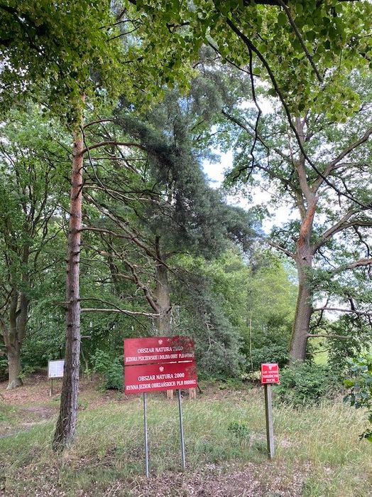 Zdjęcie 6