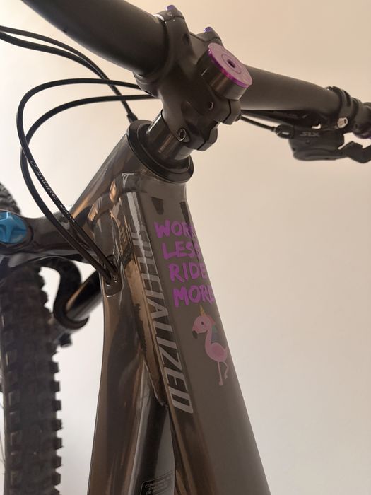 Specialized stumpjumper S1, 2025