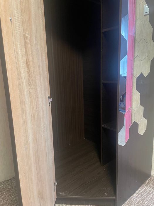 Шафа кутова. Коричнева