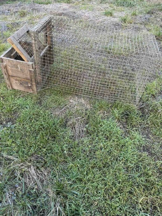 Клітка після норки