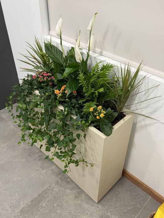 Floreira Moderna com Plantas Naturais