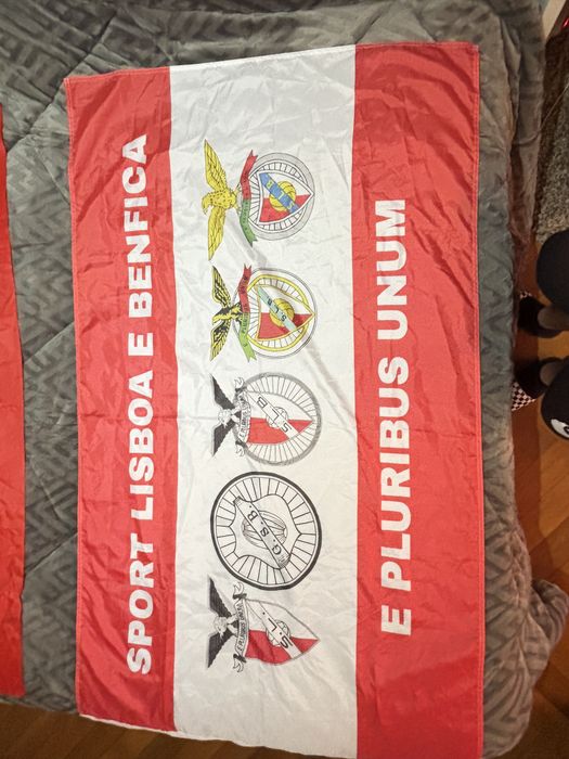 Bandeira benfica