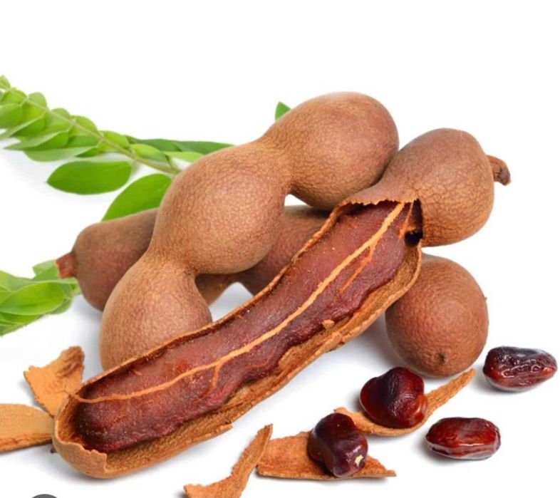 tamarindos de varios tamanhos