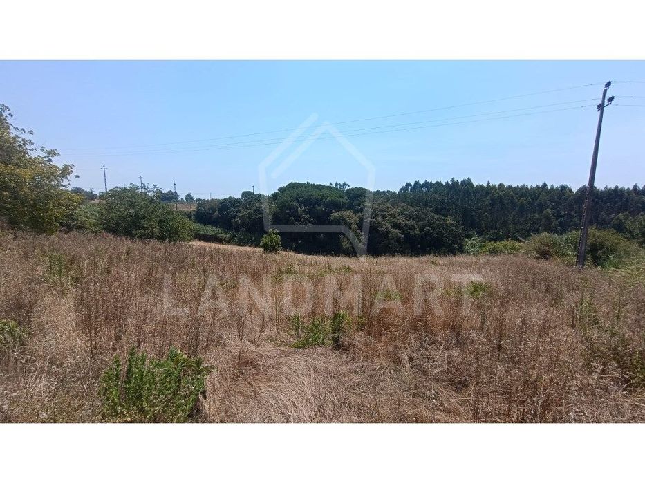 Terreno para construção - Ramalhosa — Alvorninha, Leiria