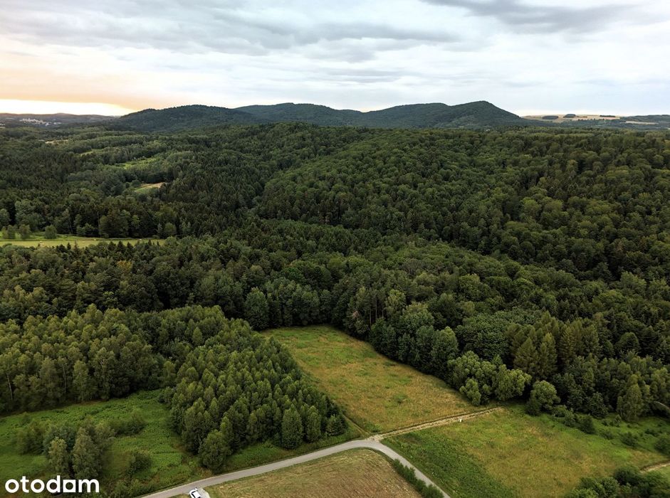 Działka budowlana pod lasem – 1730 m² Glinik Średni - WZ, prąd. - Widok 3