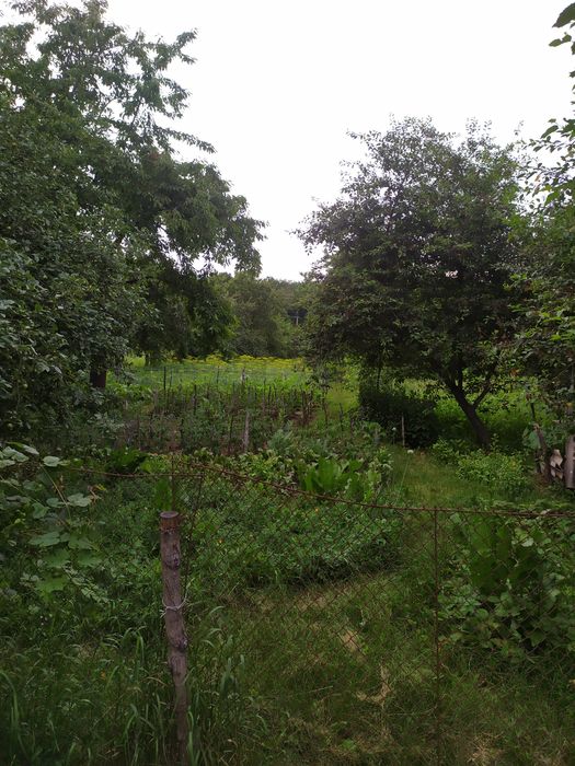 Продам уютный дом!!!