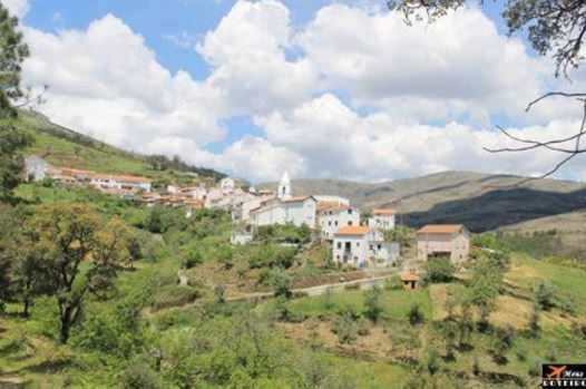 Terreno  Vidual de Cima - Pampilhosa da serra