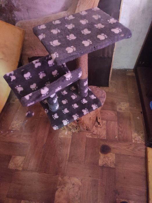 Ложе для котов. Б/у