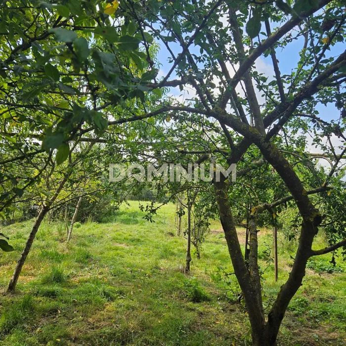 Продається будинок у с. Стеблівка