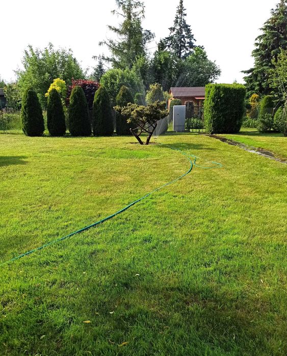 Działka ROD "Gaj" 300 m² w Warszawie ul. Janowiecka - Widok 4
