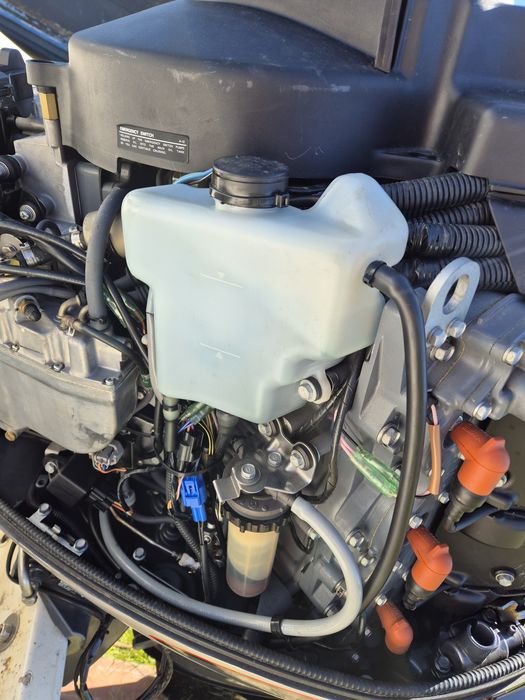 Riamar com yamaha 175 hp