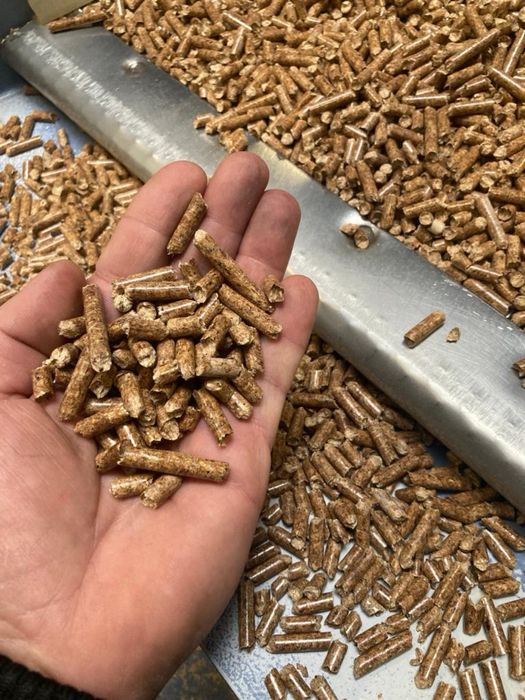 Pellet Pelet Drzewny Beskidy Lazar 6mm oraz 8mm Olczyk A1 Premium 18Mj