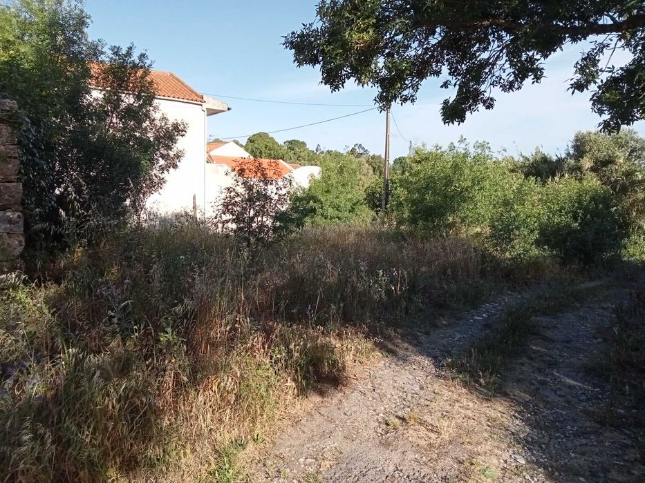 Limpeza de terrenos/outros