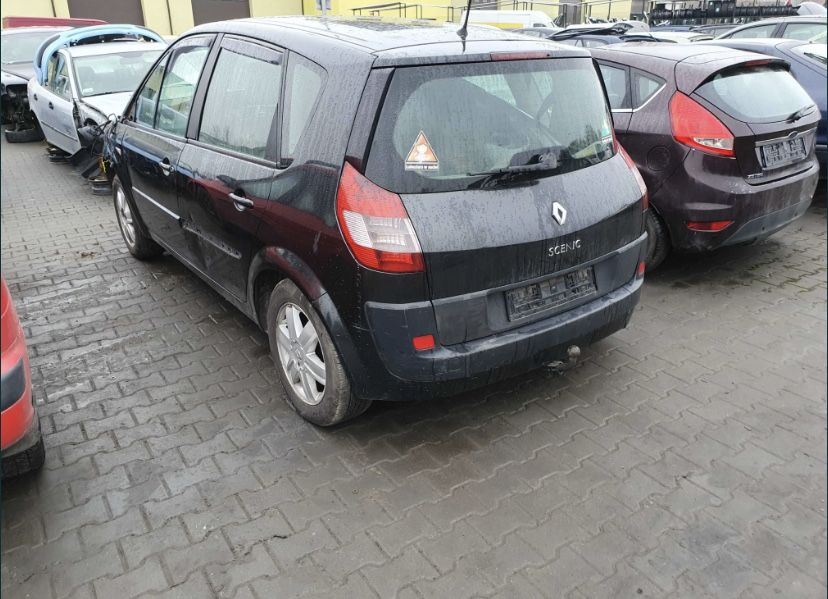 Двері Renault Scenic 1-2 Megane 1-2 Clio 1-2-3 Kangoo
