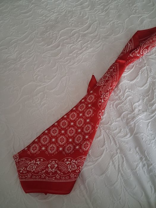 Lenço Paisley encarnado