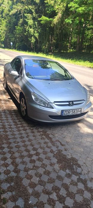 Peugeot 307cc Zadbany