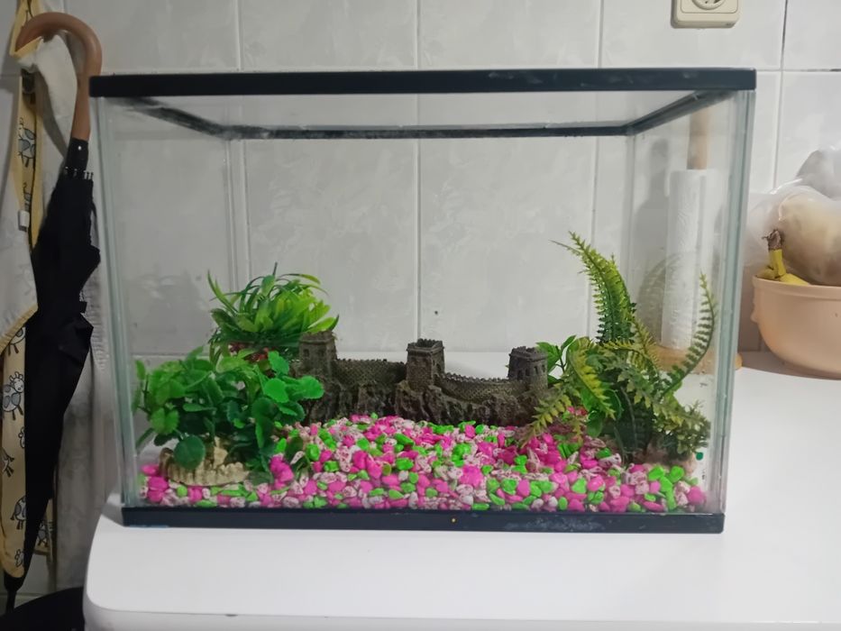 Aquário com acessórios