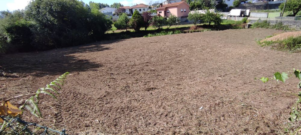 Limpeza de Terrenos Florestais · Abate de Árvores · Lenha · Jardinagem