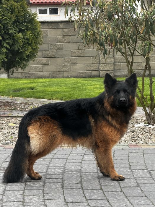 Кобель для вʼязки КСУ