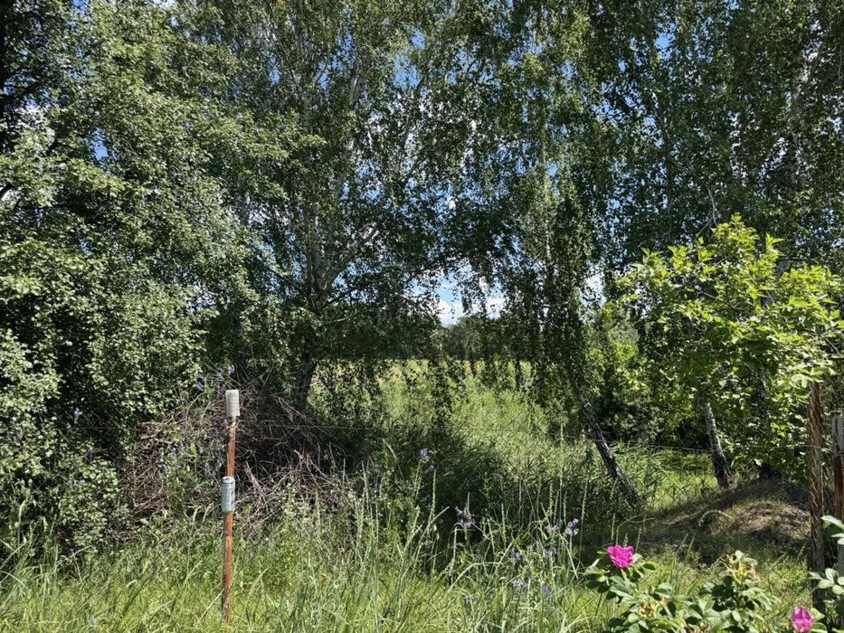 ПРОДАЖ земельної ділянки для ведення садівництва Вишгородський район
