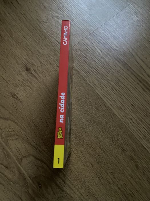 Uma aventura na cidade