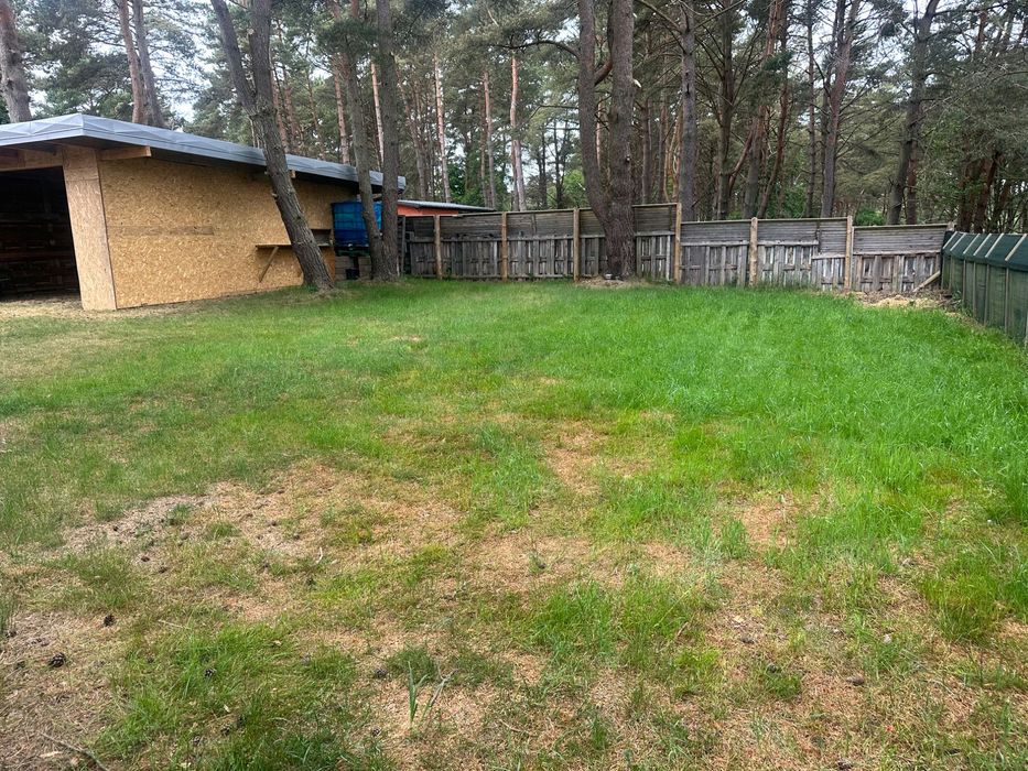 Wynajmę działkę nad morzem CHŁAPOWO - Widok 3