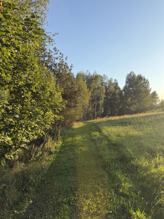 Działka z bezterminowymi warunkami zabudowy na sprzedaż – Zgórsko, gmina Radomyśl Wielki - Więcej