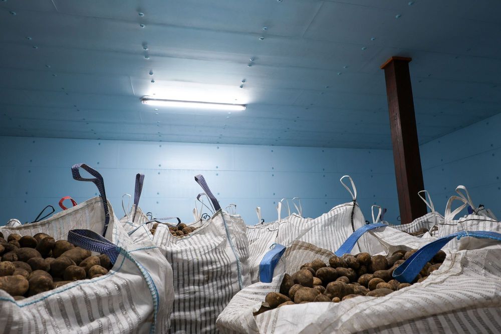 Izolacja Ocieplenie Dachu Ścian Sufitu Stropu Płyta STYRODUR XPS AGRO