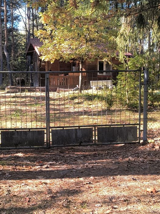 Działka leśna 1164 m² w Komornicy – możliwość zabudowy całorocznej - Widok 3