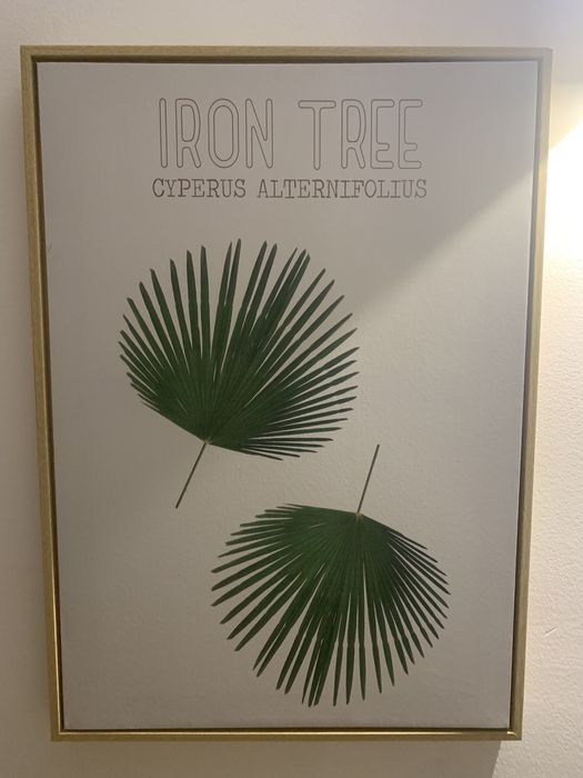 Conjunto de 2 quadros