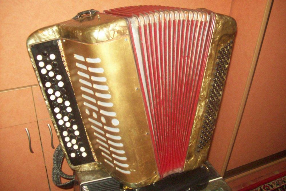 Подарочные баяны бери и играй