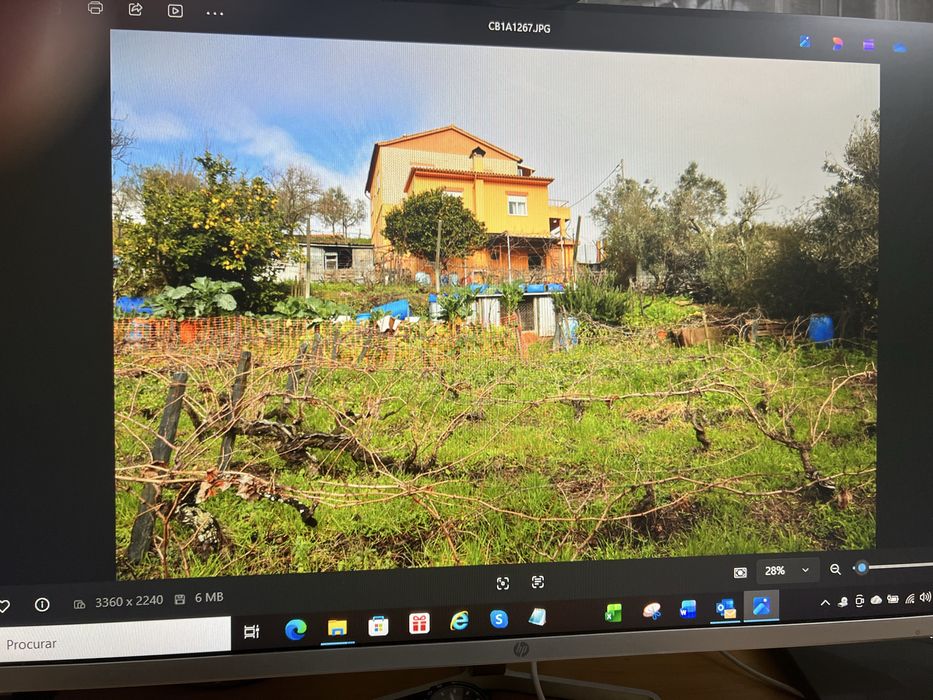 Pequena quinta para venda. Mais informacoes por contacto