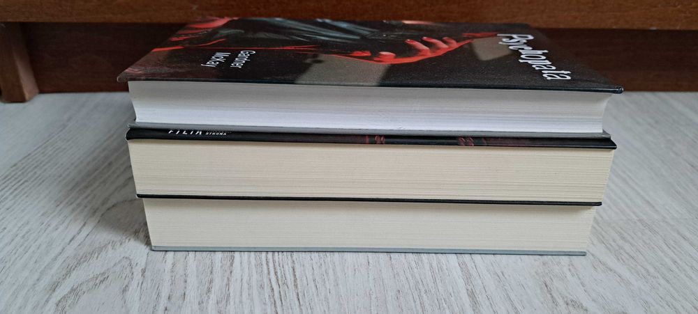 3x Raphael Montes Dziewczyna w walizce McKay Psychopata Kara Thomas