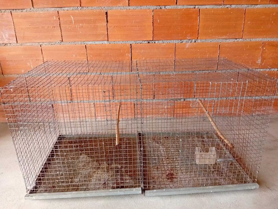 Gaiolas para venda ou toca por redrumped  burkes  ou turquesines