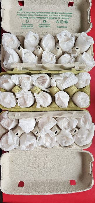 Інкубаційні яйця Китайських пухових
