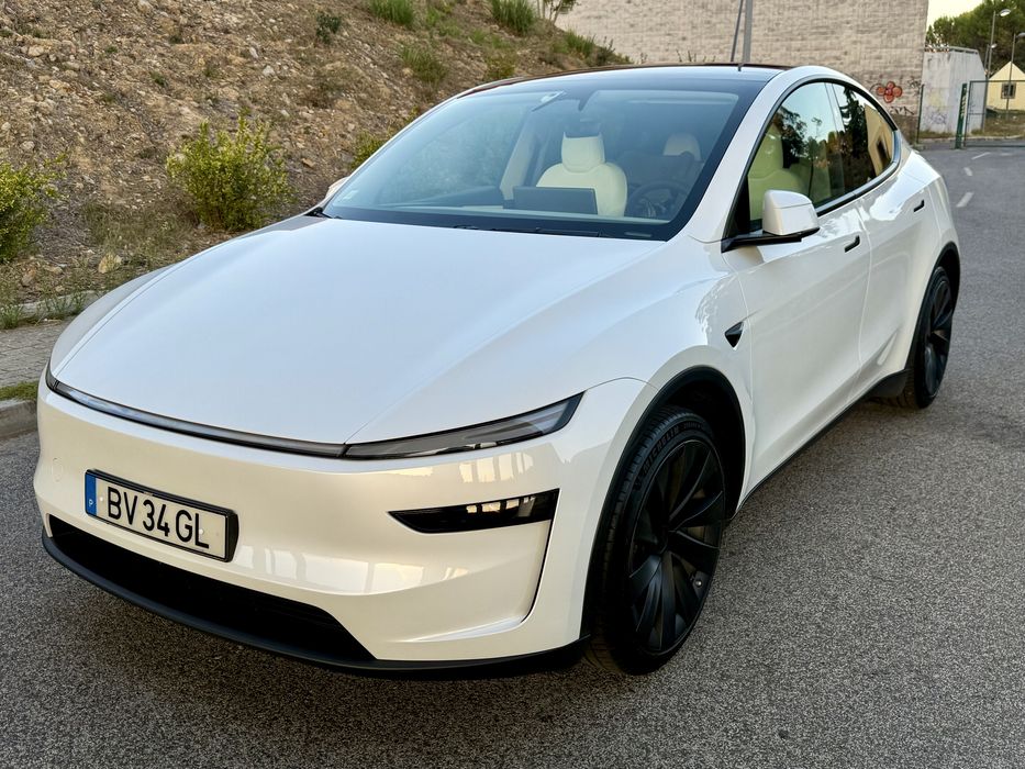 Tesla MY Juniper Rwd Long-Range - Extras Perf.