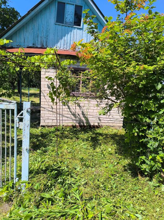 Продам приватизовану дачу,6 сотих ,в масиві Калина ,всі документи є