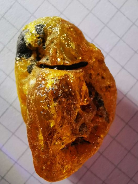 bursztyn bałtycki surowy kolekcjonerski  6,77 gr polski