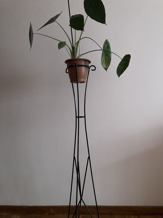 Suporte para plantas