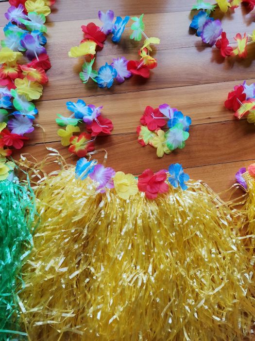 Disfarces para criança: havaina