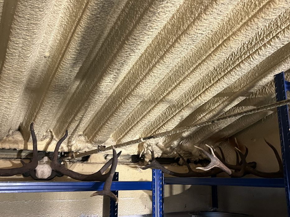 Conjunto de trofeus de caça